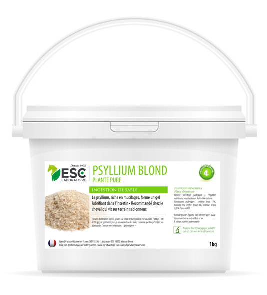 Psyllium