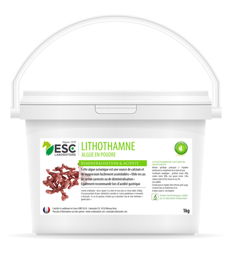 [ESC-170] Lithothamne