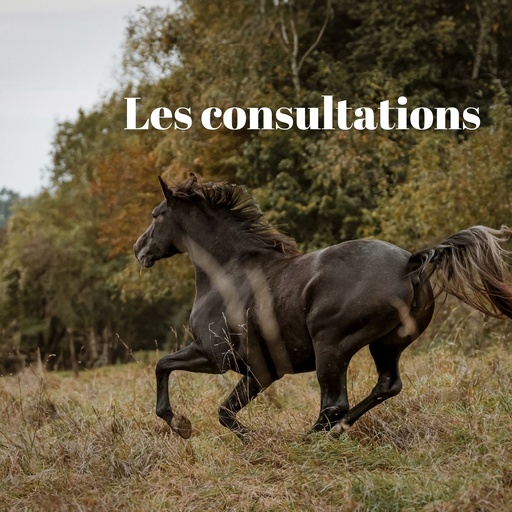 Consultation